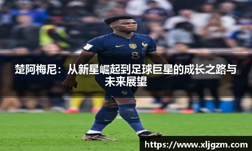 乐鱼网站