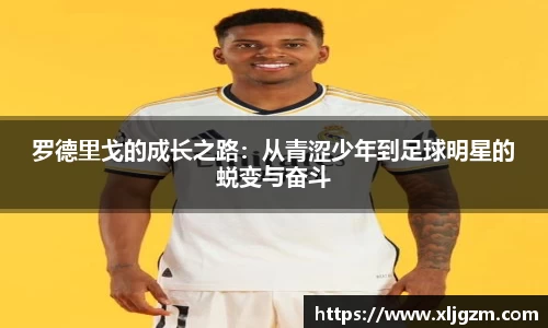 乐鱼